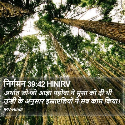 निर्गमन 39:42 HINIRV Bible Verse Image