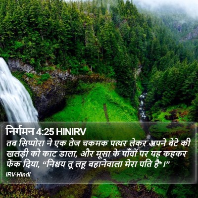 निर्गमन 4:25 HINIRV Bible Verse Image