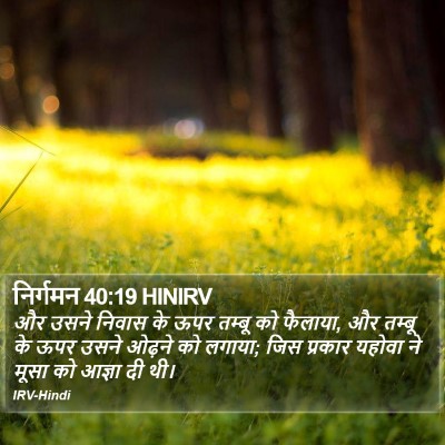 निर्गमन 40:19 HINIRV Bible Verse Image