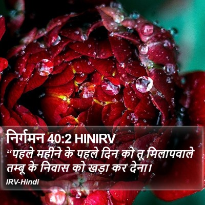निर्गमन 40:2 HINIRV Bible Verse Image
