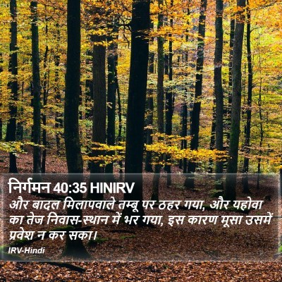 निर्गमन 40:35 HINIRV Bible Verse Image