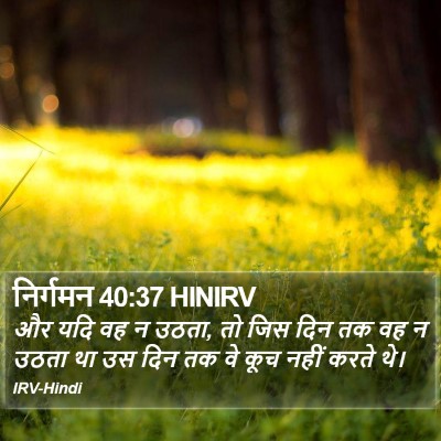 निर्गमन 40:37 HINIRV Bible Verse Image