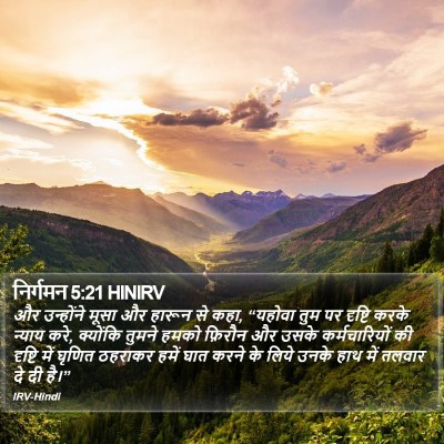 निर्गमन 5:21 HINIRV Bible Verse Image