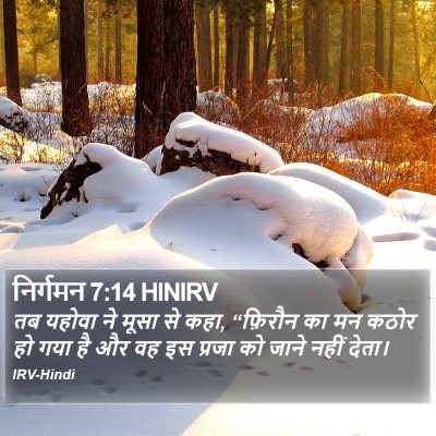 निर्गमन 7:14 HINIRV Bible Verse Image