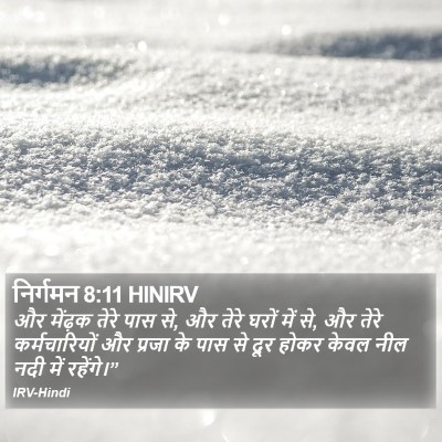 निर्गमन 8:11 HINIRV Bible Verse Image