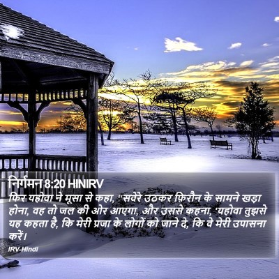 निर्गमन 8:20 HINIRV Bible Verse Image