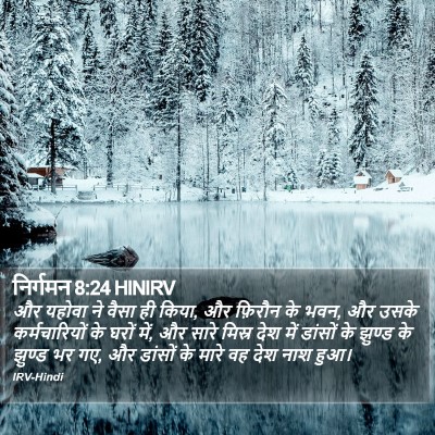निर्गमन 8:24 HINIRV Bible Verse Image