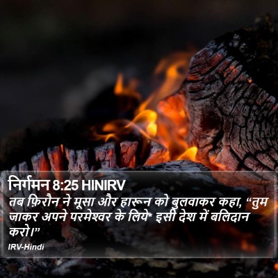 निर्गमन 8:25 HINIRV Bible Verse Image