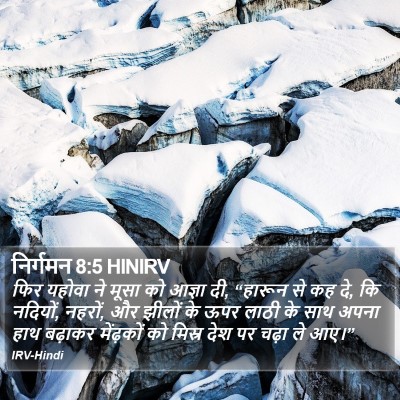 निर्गमन 8:5 HINIRV Bible Verse Image