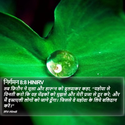 निर्गमन 8:8 HINIRV Bible Verse Image