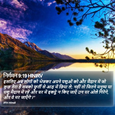 निर्गमन 9:19 HINIRV Bible Verse Image