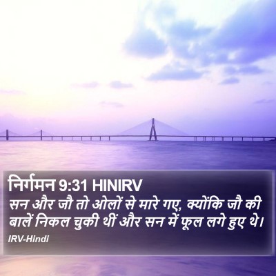 निर्गमन 9:31 HINIRV Bible Verse Image