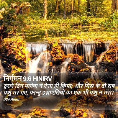निर्गमन 9:6 HINIRV Bible Verse Image