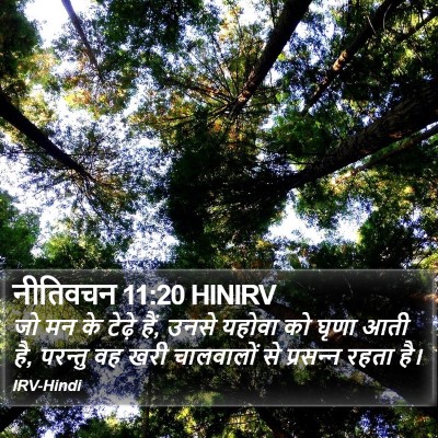 नीतिवचन 11:20 HINIRV Bible Verse Image