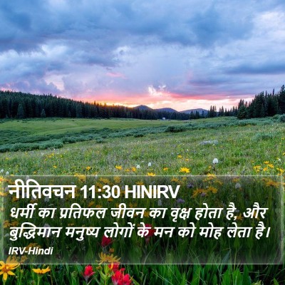 नीतिवचन 11:30 HINIRV Bible Verse Image