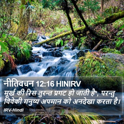नीतिवचन 12:16 HINIRV Bible Verse Image