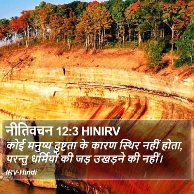 नीतिवचन 12:3 HINIRV Bible Verse Image