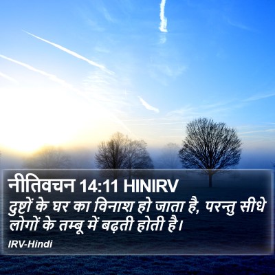 नीतिवचन 14:11 HINIRV Bible Verse Image