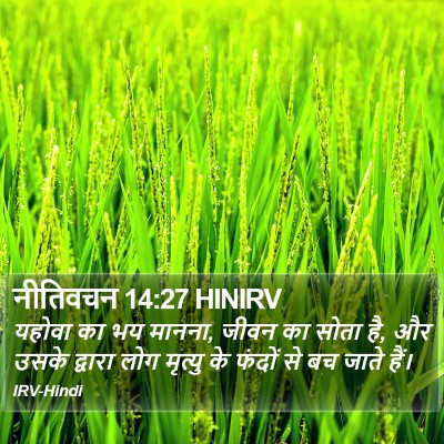 नीतिवचन 14:27 HINIRV Bible Verse Image