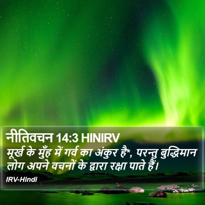 नीतिवचन 14:3 HINIRV Bible Verse Image