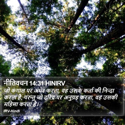 नीतिवचन 14:31 HINIRV Bible Verse Image