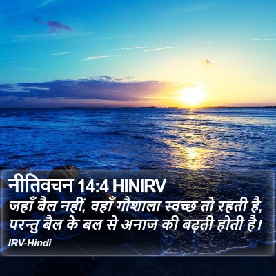 नीतिवचन 14:4 HINIRV Bible Verse Image