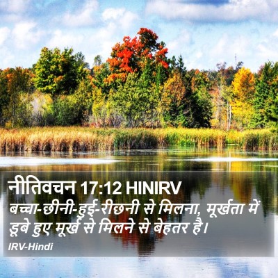नीतिवचन 17:12 HINIRV Bible Verse Image