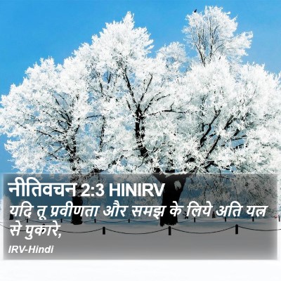 नीतिवचन 2:3 HINIRV Bible Verse Image