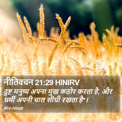 नीतिवचन 21:29 HINIRV Bible Verse Image