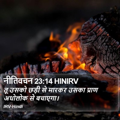 नीतिवचन 23:14 HINIRV Bible Verse Image