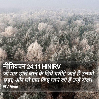 नीतिवचन 24:11 HINIRV Bible Verse Image