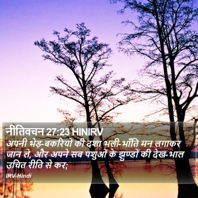 नीतिवचन 27:23 HINIRV Bible Verse Image