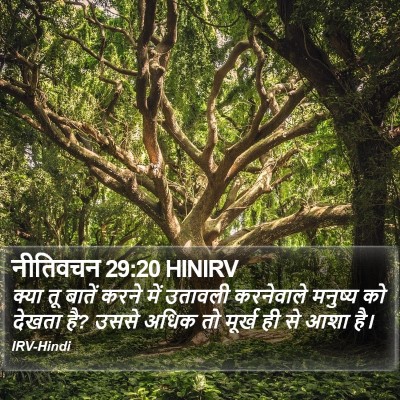 नीतिवचन 29:20 HINIRV Bible Verse Image