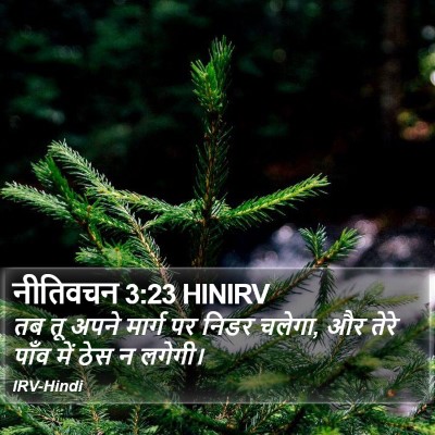 नीतिवचन 3:23 HINIRV Bible Verse Image