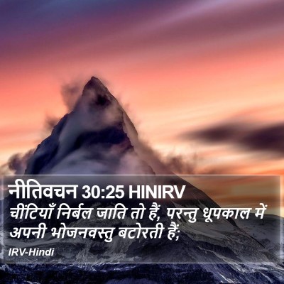 नीतिवचन 30:25 HINIRV Bible Verse Image