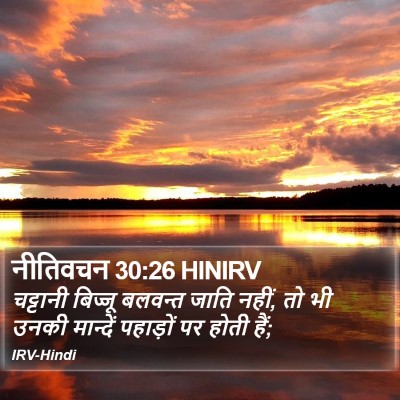 नीतिवचन 30:26 HINIRV Bible Verse Image