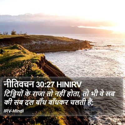 नीतिवचन 30:27 HINIRV Bible Verse Image