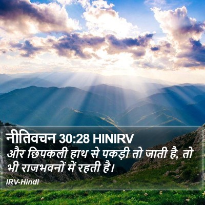 नीतिवचन 30:28 HINIRV Bible Verse Image