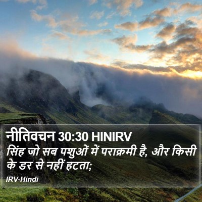 नीतिवचन 30:30 HINIRV Bible Verse Image