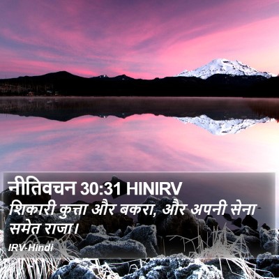 नीतिवचन 30:31 HINIRV Bible Verse Image