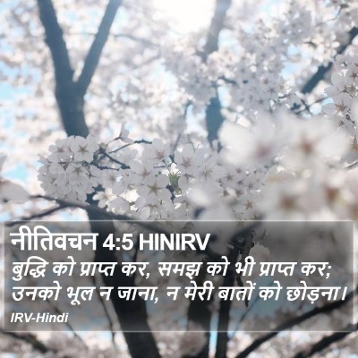 नीतिवचन 4:5 HINIRV Bible Verse Image