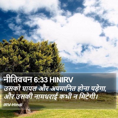 नीतिवचन 6:33 HINIRV Bible Verse Image