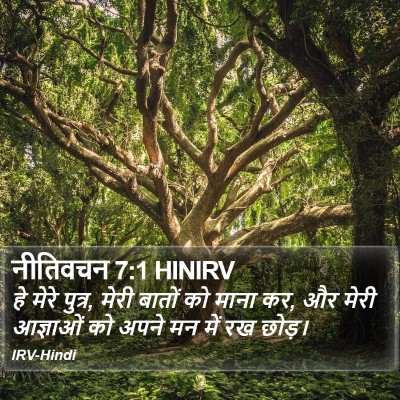 नीतिवचन 7:1 HINIRV Bible Verse Image