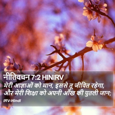 नीतिवचन 7:2 HINIRV Bible Verse Image