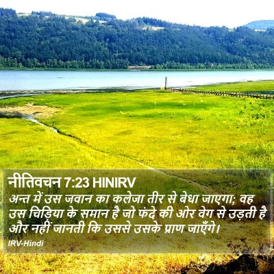 नीतिवचन 7:23 HINIRV Bible Verse Image