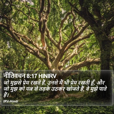 नीतिवचन 8:17 HINIRV Bible Verse Image