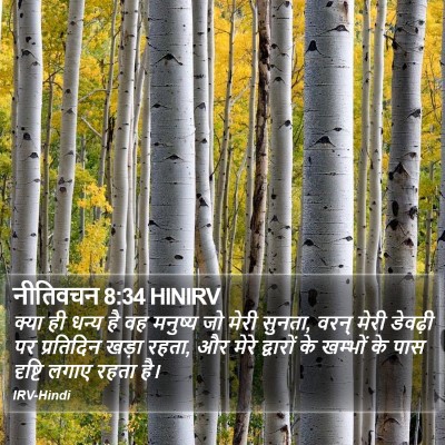 नीतिवचन 8:34 HINIRV Bible Verse Image