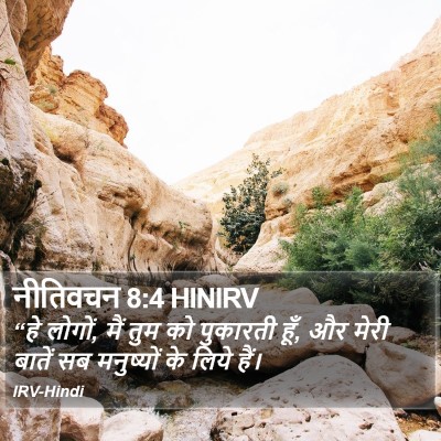 नीतिवचन 8:4 HINIRV Bible Verse Image