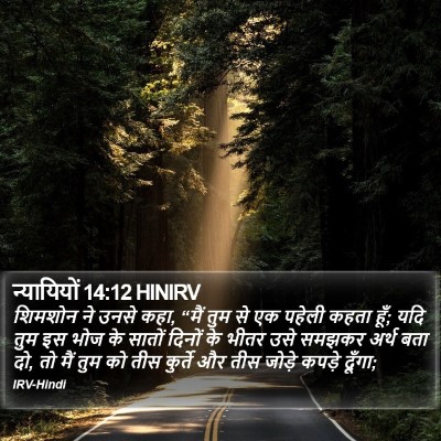 न्यायियों 14:12 HINIRV Bible Verse Image