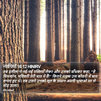 न्यायियों 16:12 HINIRV Bible Verse Image